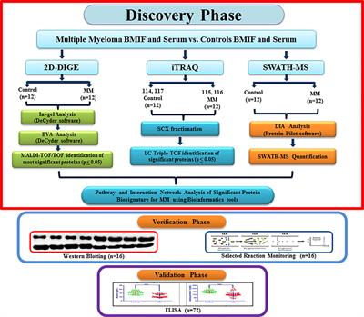 Proteomic Alterations in Multiple Myeloma: A Comprehensive Study Using Bone Marrow Interstitial Fluid and Serum Samples